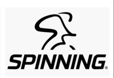 Introduction to spin boss login